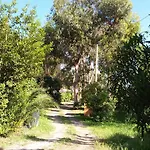 Kamp alanı Camping Reale