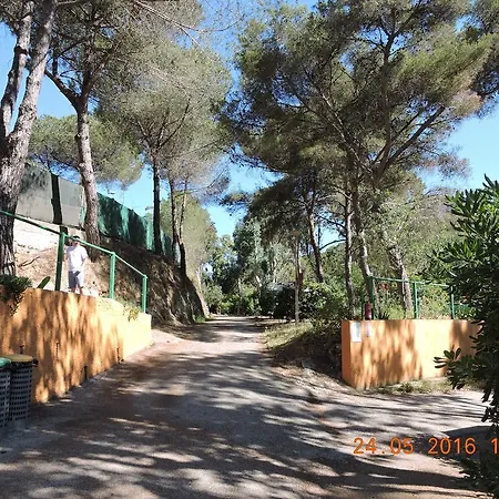 Kemping Camping Reale