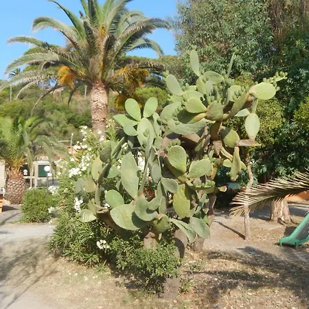 Camping Camping Reale