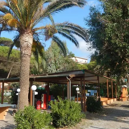 Kemp Camping Reale *
