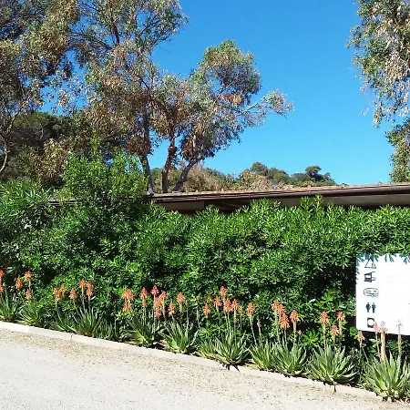 Camping Reale مكان تخييم *