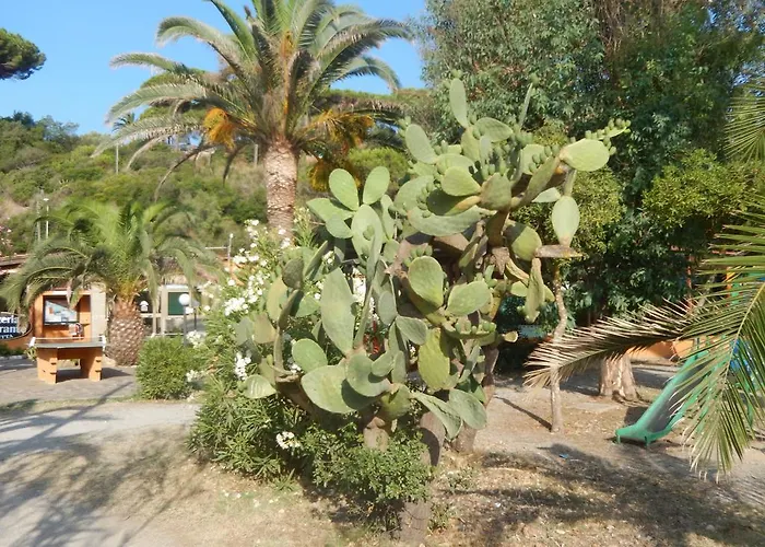 Camping Camping Reale