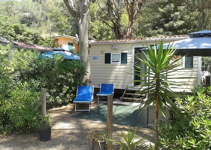 Camping Camping Reale