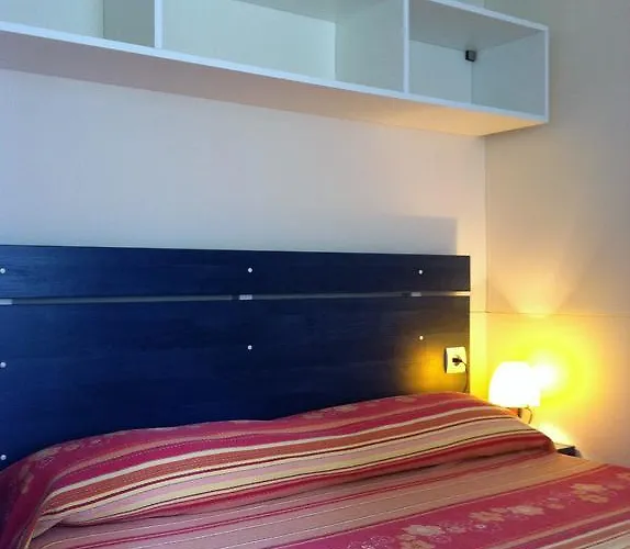 Camping Camping Reale Porto Azzurro