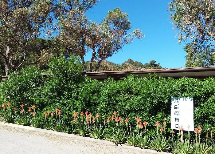 Camping Reale مكان تخييم *