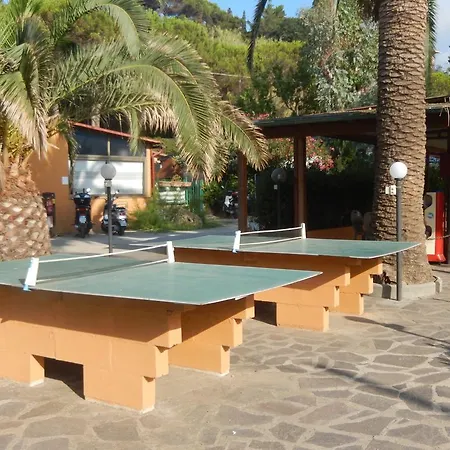 Κάμπινγκ Camping Reale