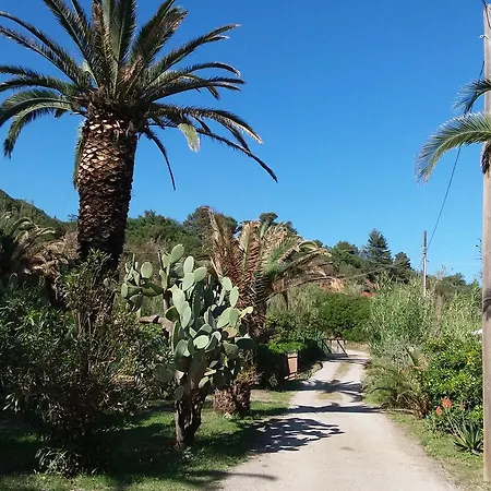 Camping Reale Campingplatz *