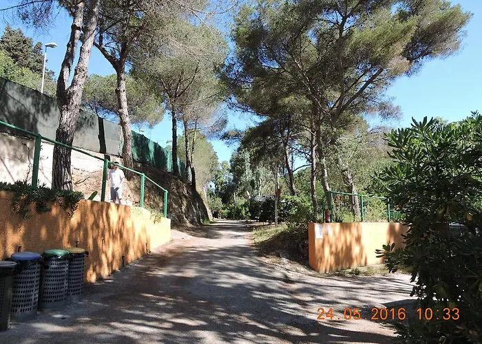 Campsite Camping Reale