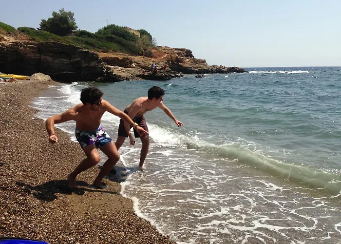 캠프장 Camping Reale