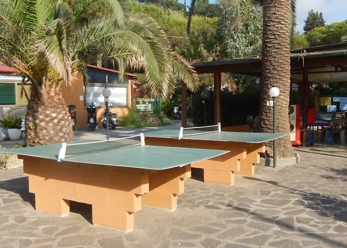 אתר קמפינג Camping Reale