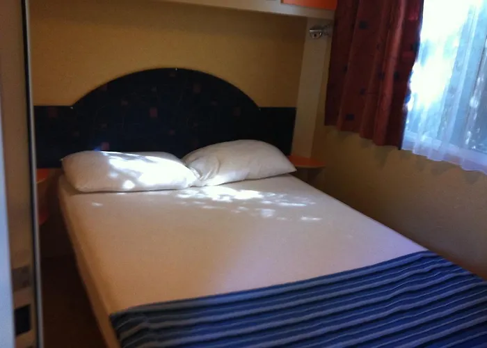 캠프장 Camping Reale