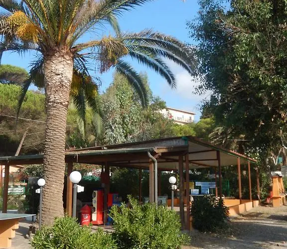 Campsite Camping Reale *