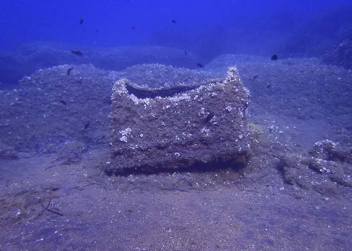 Camping Reale Campsite Porto Azzurro