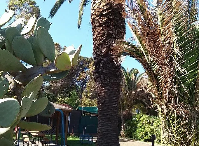 אתר קמפינג Camping Reale פורטו אזורו