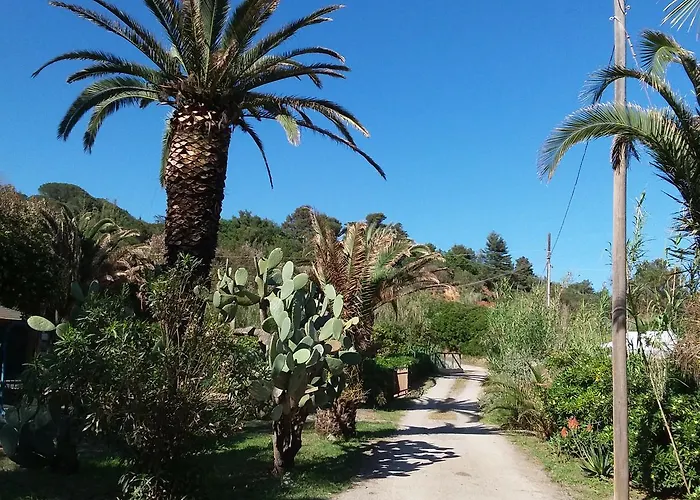 Camping Reale אתר קמפינג *