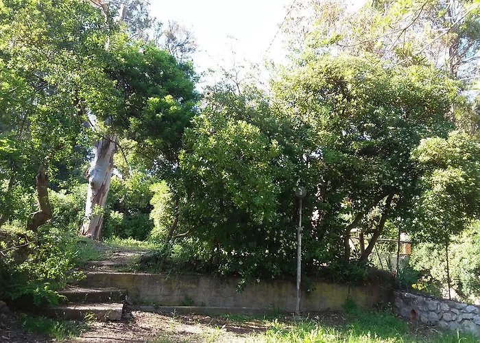 Camping Reale * Porto Azzurro