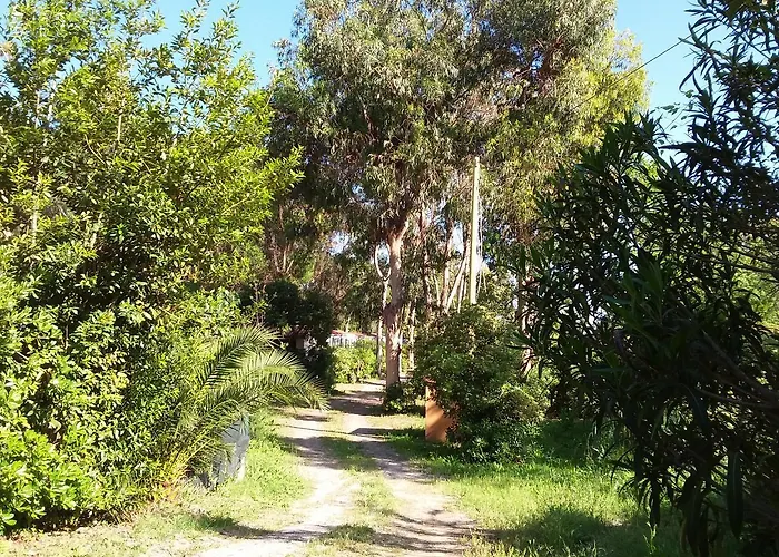 אתר קמפינג Camping Reale