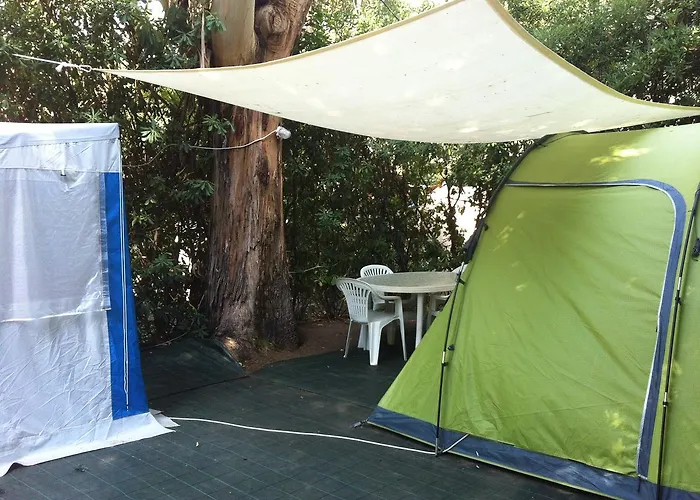 Camping Reale אתר קמפינג *