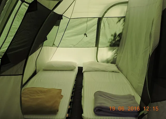 Camping Reale 캠프장 포르투 아주로