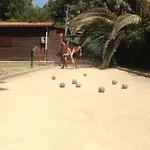 Camping Camping Reale