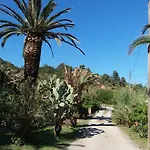 Camping Reale Camping *
