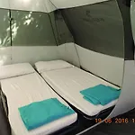 Camping Reale